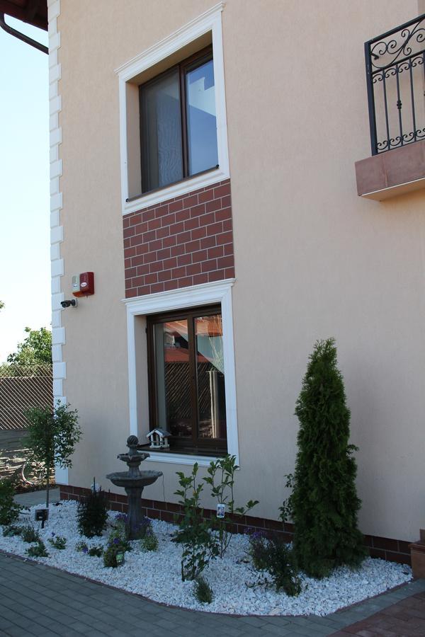 Pensiunea Gradina Verde Becicherecu Mic Εξωτερικό φωτογραφία