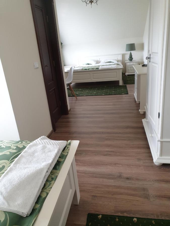 Pensiunea Gradina Verde Becicherecu Mic Εξωτερικό φωτογραφία
